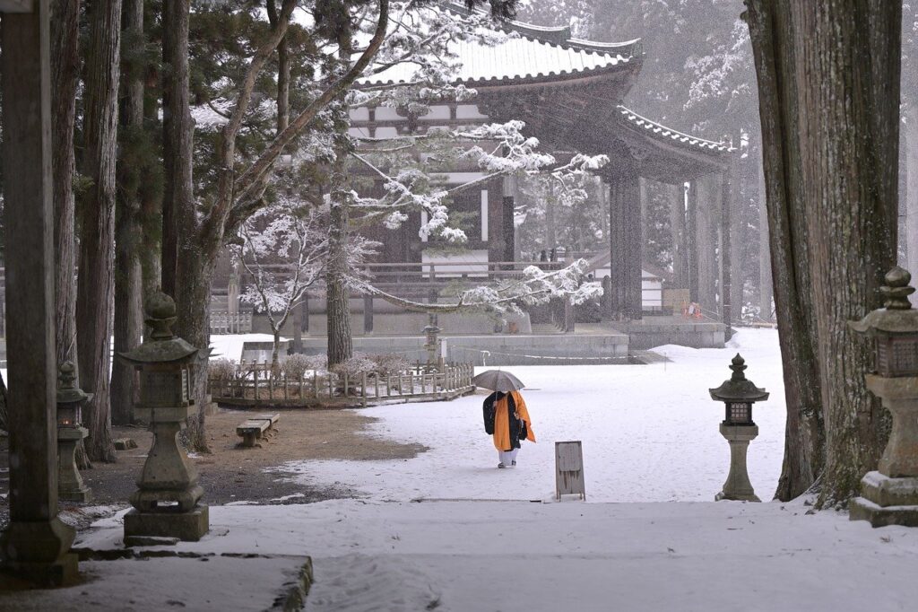 monk, umbrella, pathway-7010969.jpg